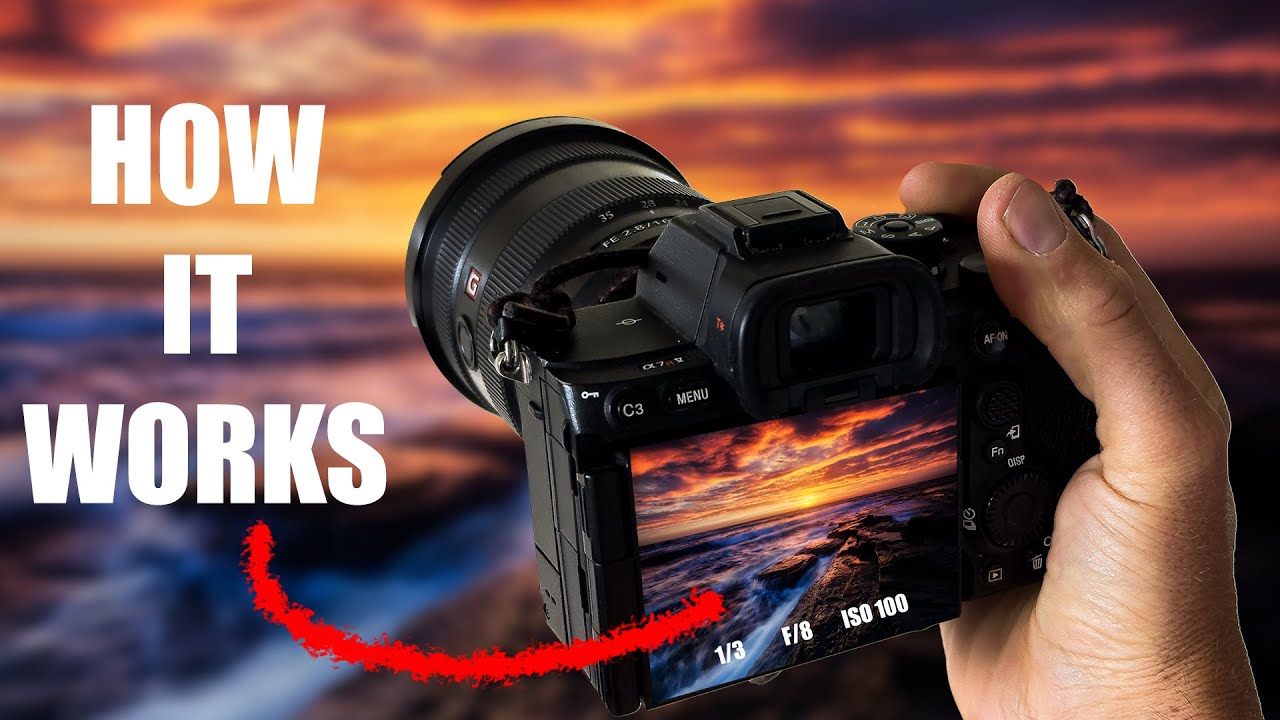 Aperture and Depth of Field, Finally Explained in a Way That Actually Sticks