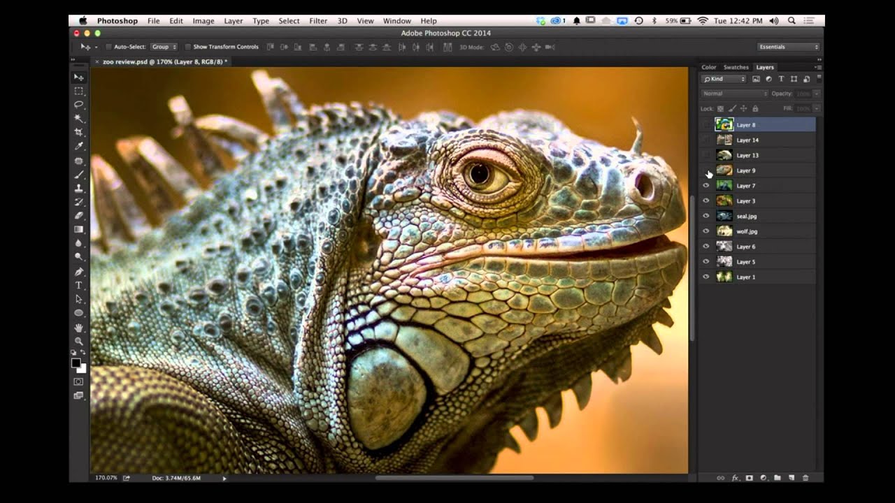 Get Closer Than You Think: Using the Olloclip Macro 3-in-1 for Tiny Subject Photography