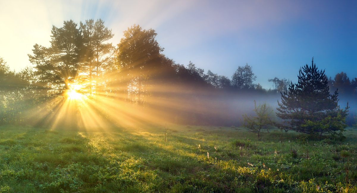 Golden Hour Photography: How to Make the Most of Magic Light