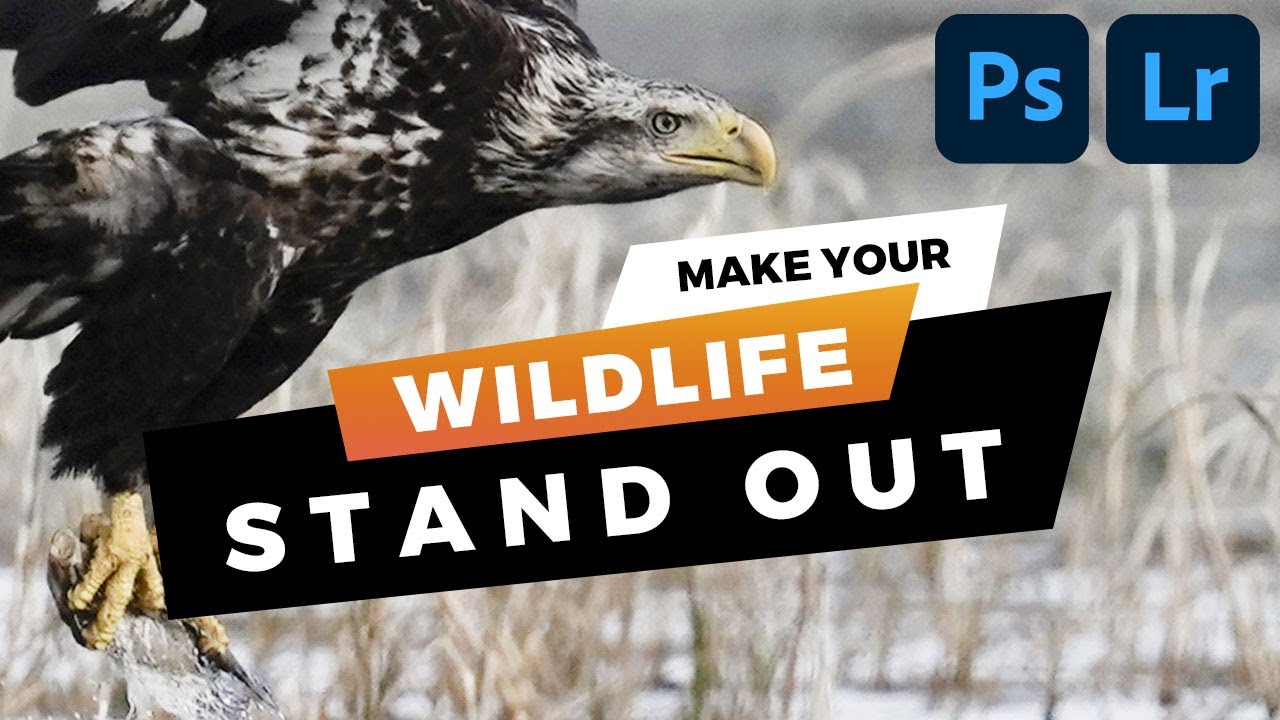 How to Make Your Wildlife Subject Pop: The Flip the Scene Editing Trick