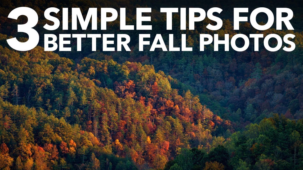 How to Shoot Stunning Fall Color Photos (3 Lighting Tricks That Actually Work)