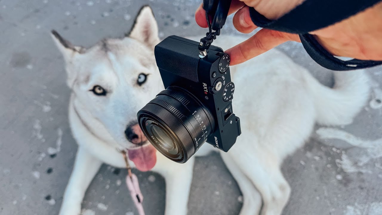 Is the Sony RX1R III Actually Worth It as an Everyday Camera? Here's What One Shoot Taught Me