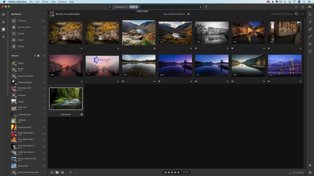 Let AI Do Your Photo Keywording — How Lightroom's Search Actually Works