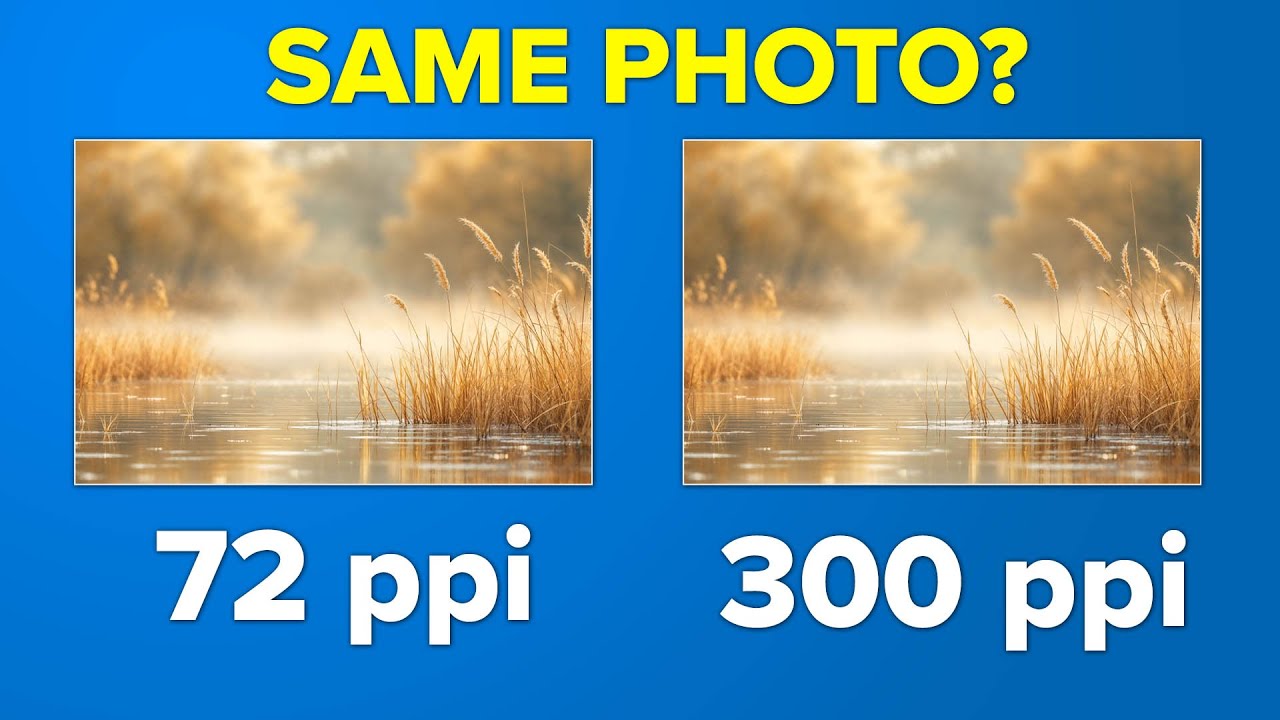 PPI vs. DPI: What Actually Matters When You Print Your Photos