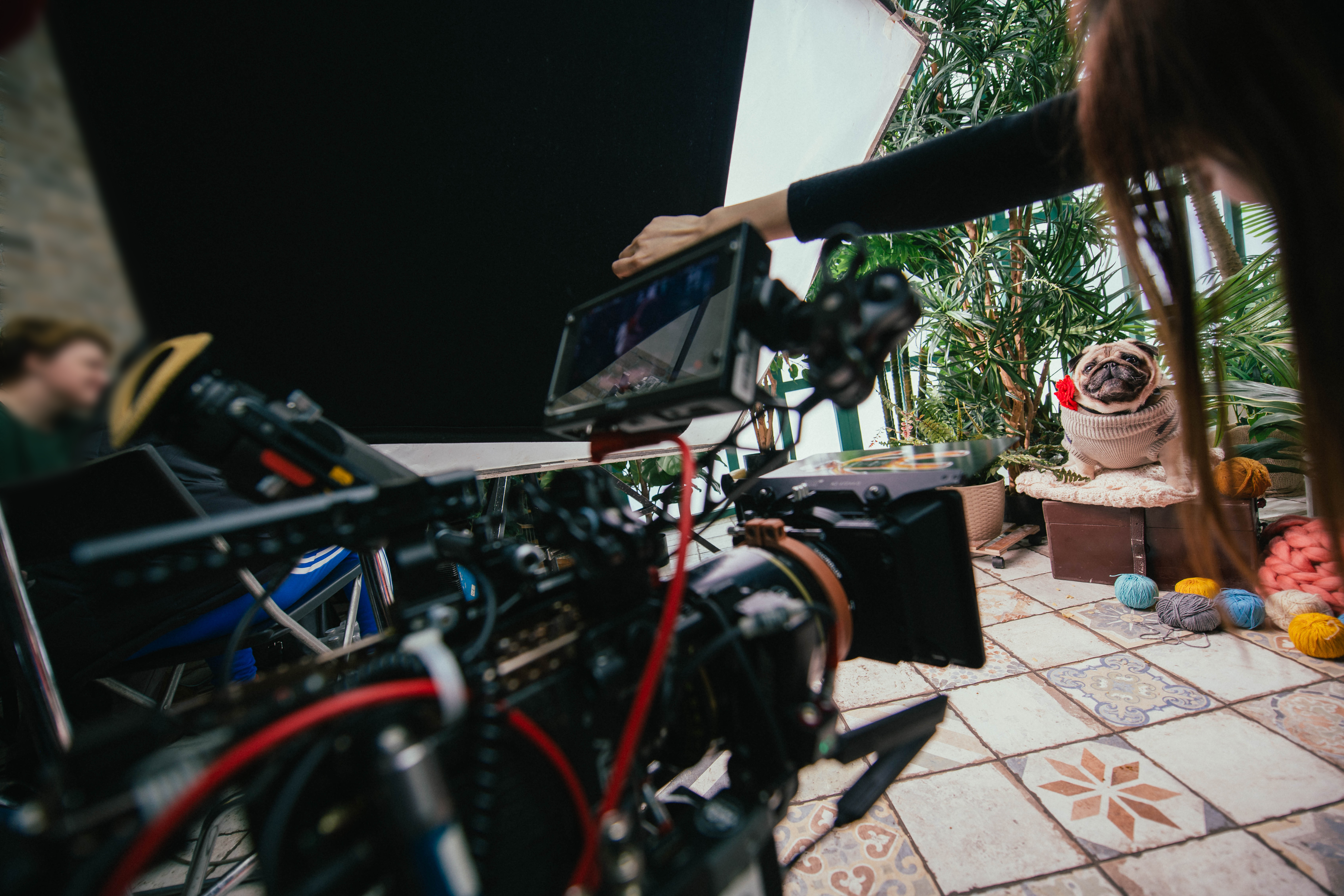 Stepping Outside Your Comfort Zone: Why Trying New Camera Systems Matters