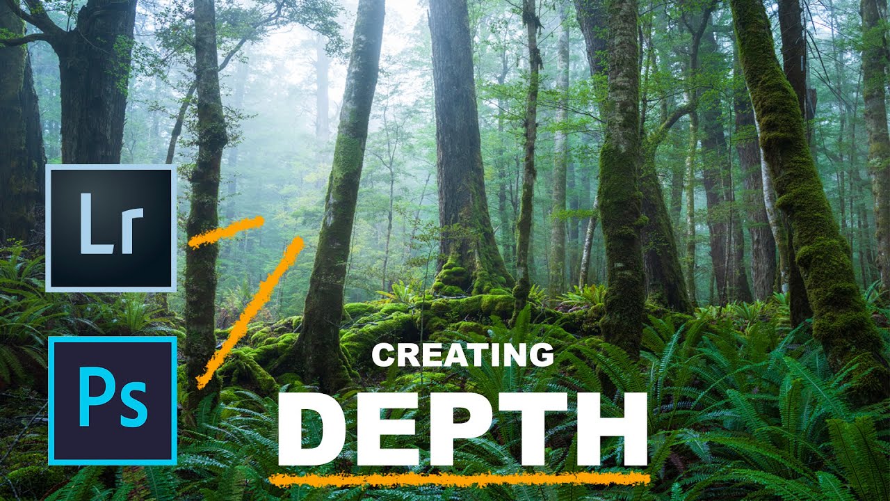 Stop Fighting the Chaos: How to Actually Compose Forest Photographs