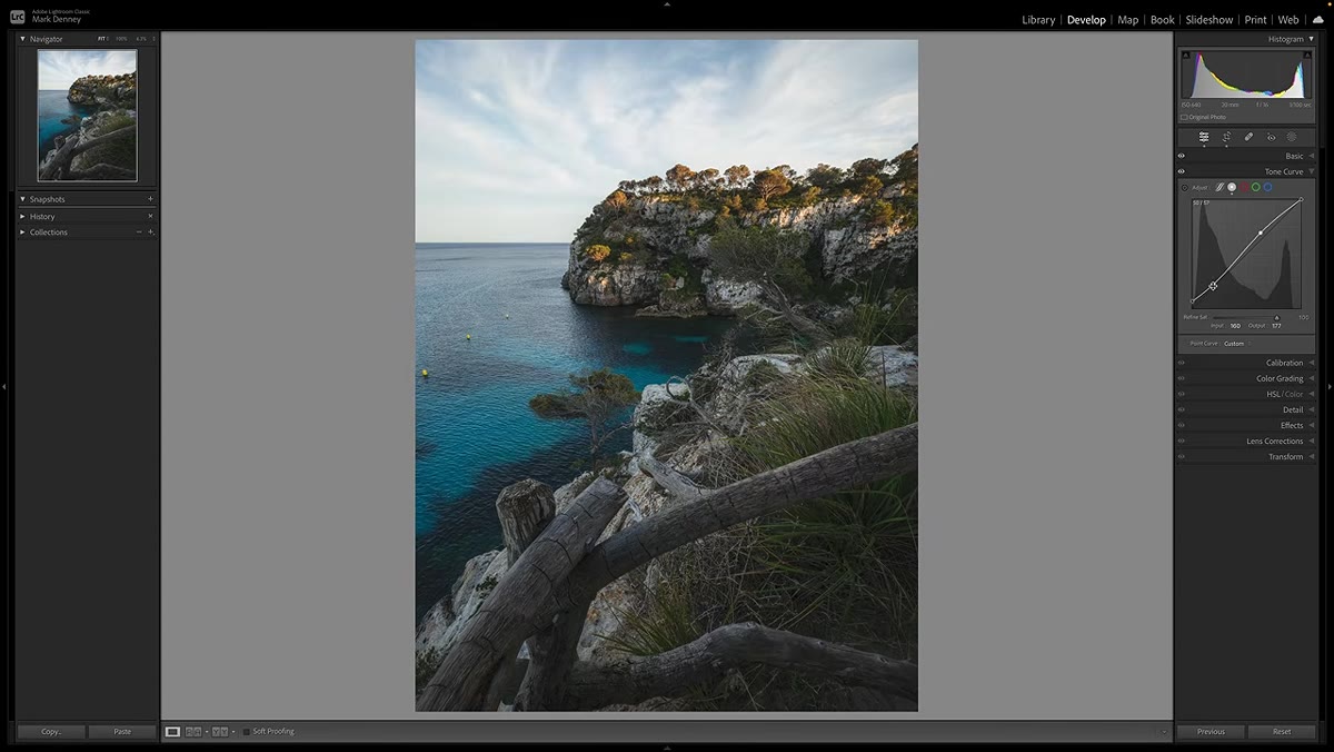 HSL panel open, individual color hue and saturation sliders visible