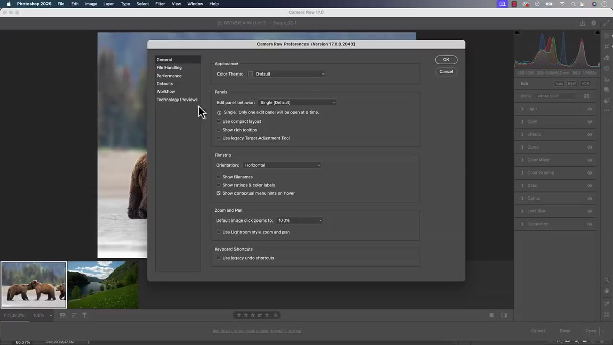 Technology Previews checkbox highlighted in Camera Raw settings