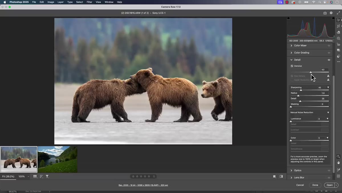 Denoise adjustment slider visible after processing completes