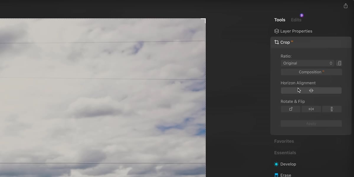 Crop tool active with horizon alignment engaged