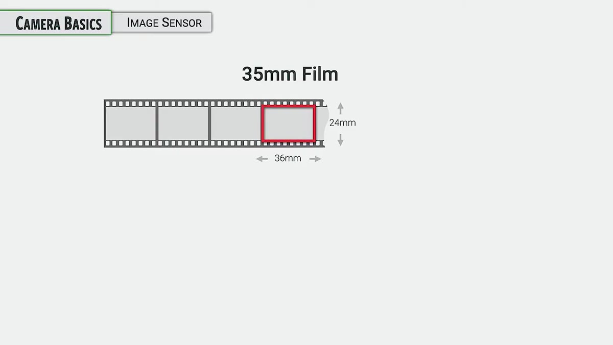 Graphic comparing full-frame, APS-C, and medium format sensor sizes