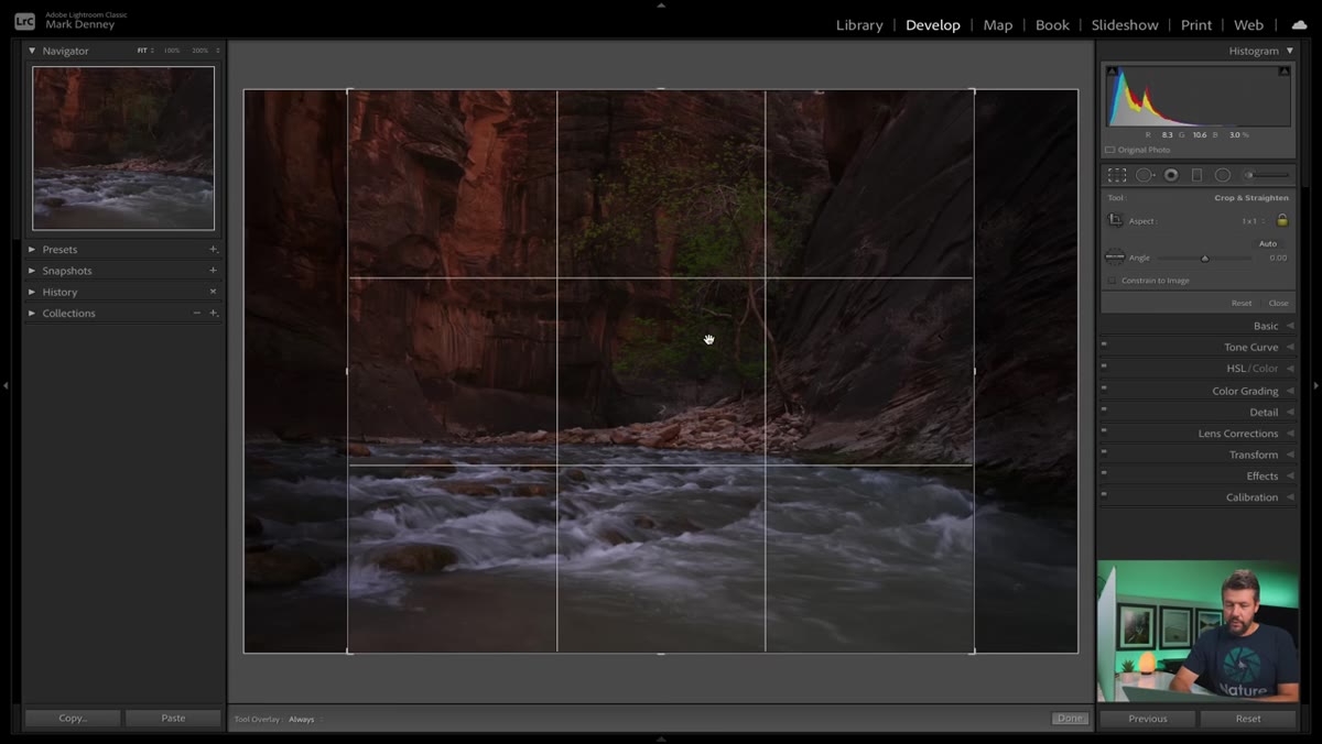 Crop tool applied to raw landscape image in Lightroom