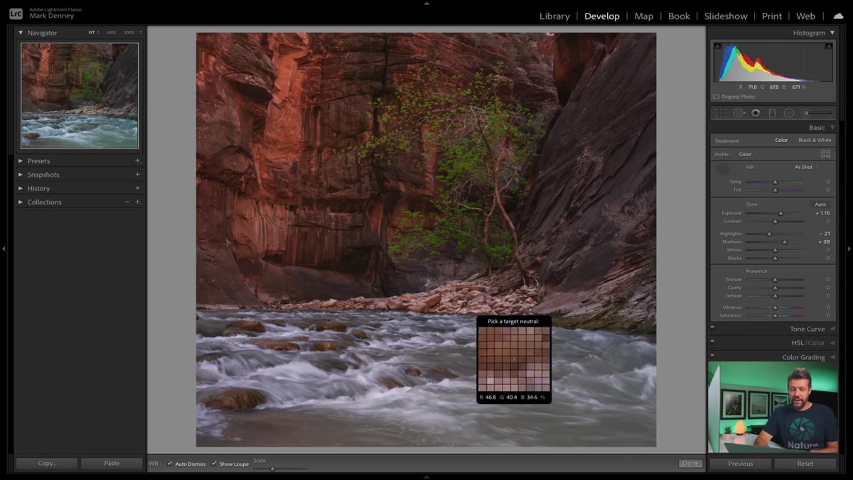 Blacks and Whites sliders adjusted to anchor tonal range in Lightroom