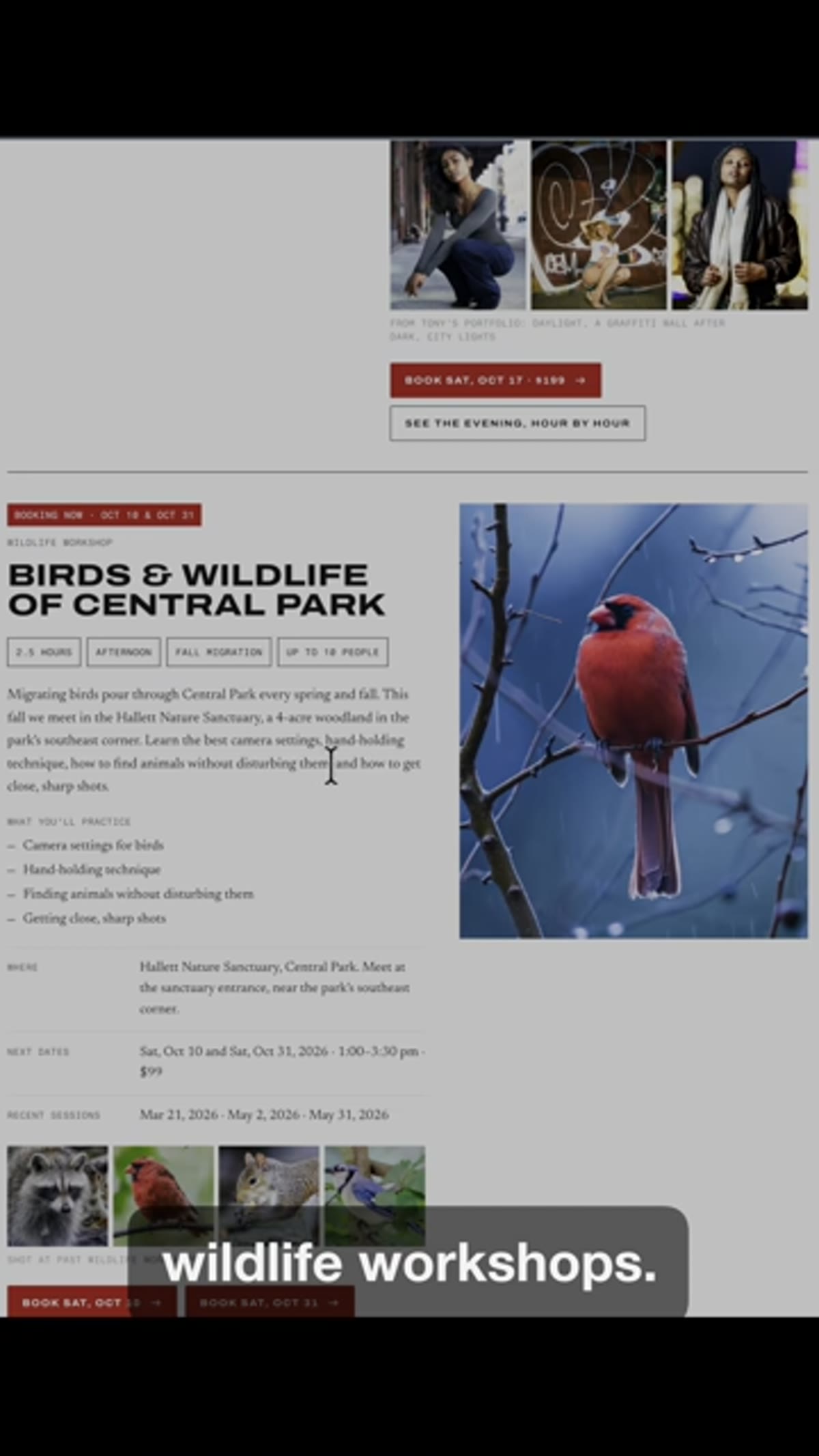 Tony describing the Central Park wildlife workshop