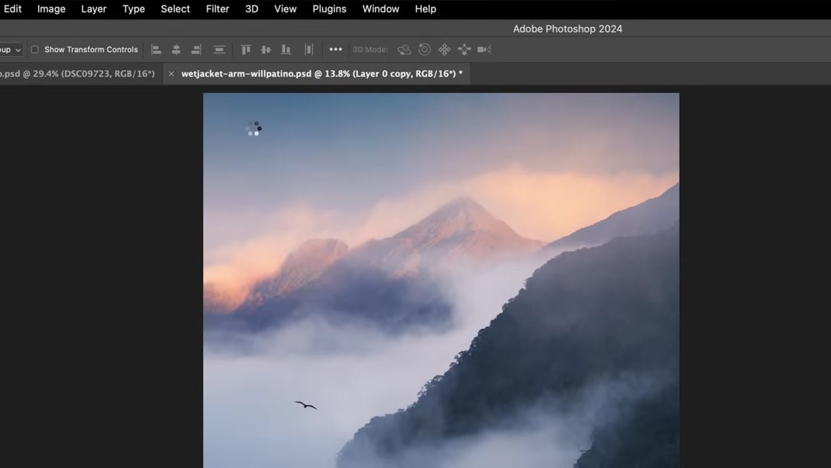 Adobe Camera Raw filter open with histogram visible
