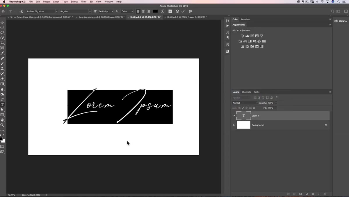 Type tool active with signature font text on canvas