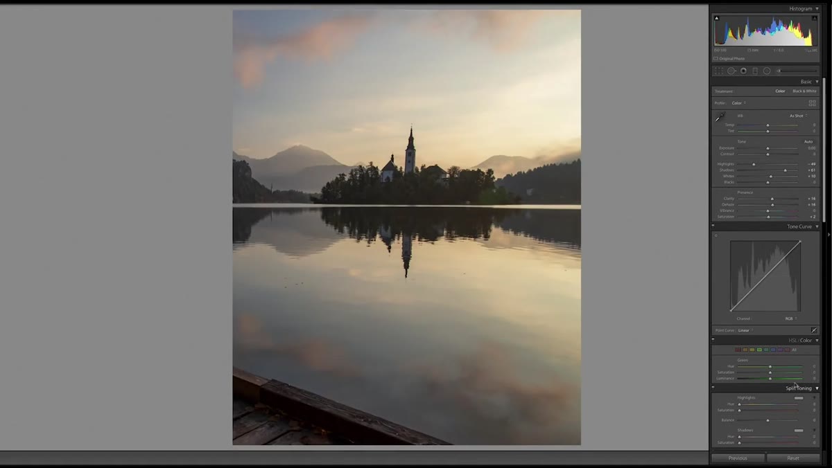 Color and tone sliders adjusted toward muted, earthy tones
