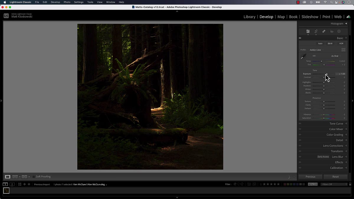 Basic panel with highlights pulled down and photo looking intentionally underexposed