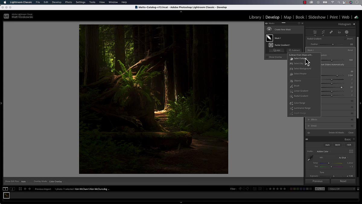 Brush tool set to Subtract painting over the brightest highlight spot