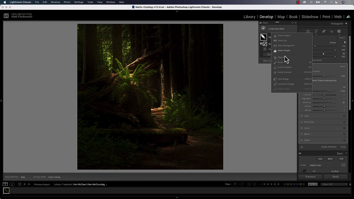 Second radial gradient added and overlapped with the first mask