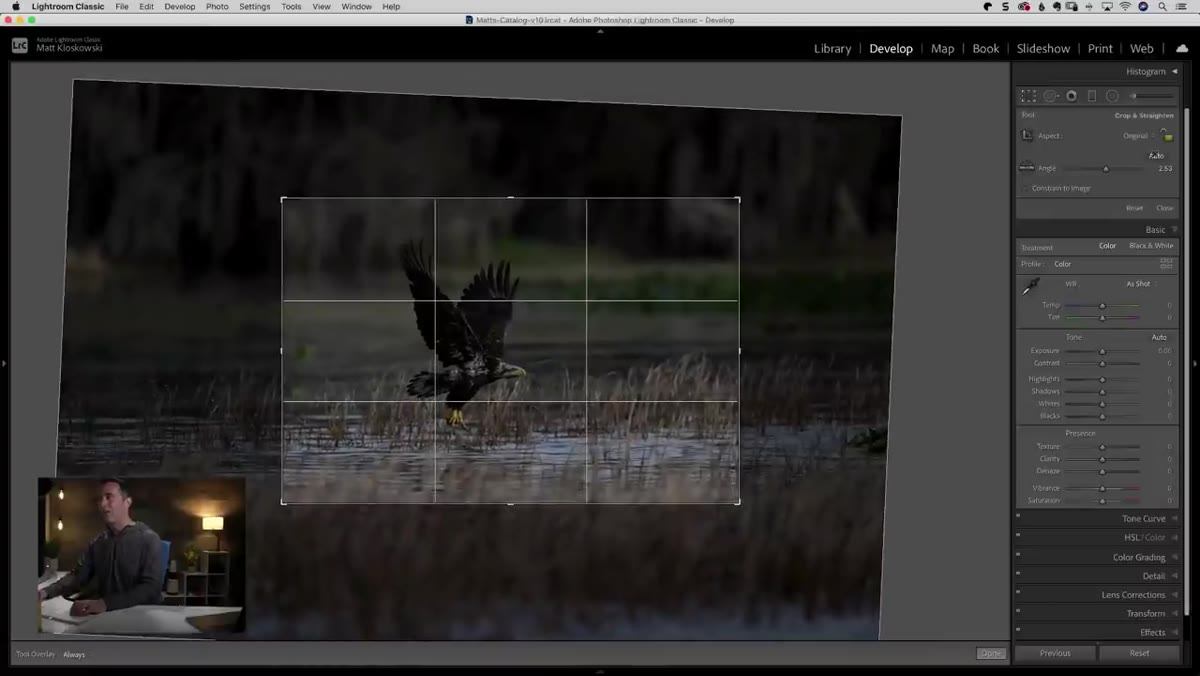 Eagle photo open in Lightroom, crop tool active