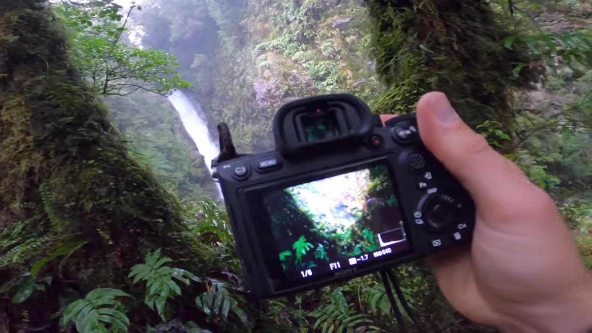 Viewfinder showing foreground trees framing distant waterfall