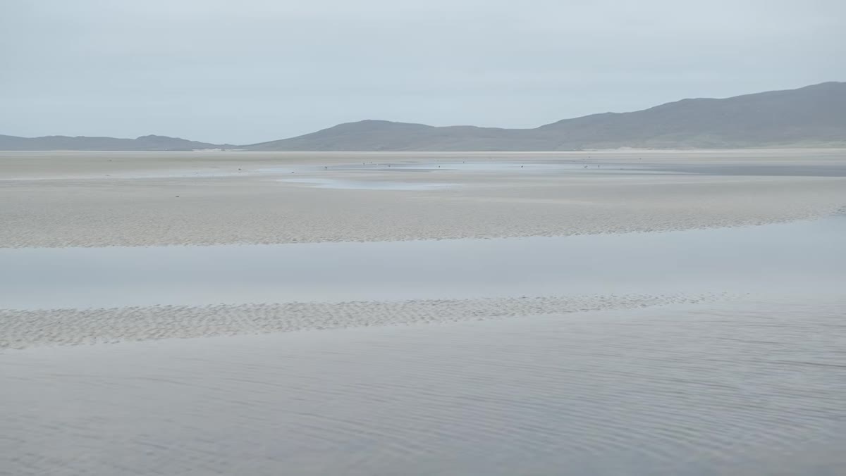 Heaton noticing wading birds feeding in the sand and mud