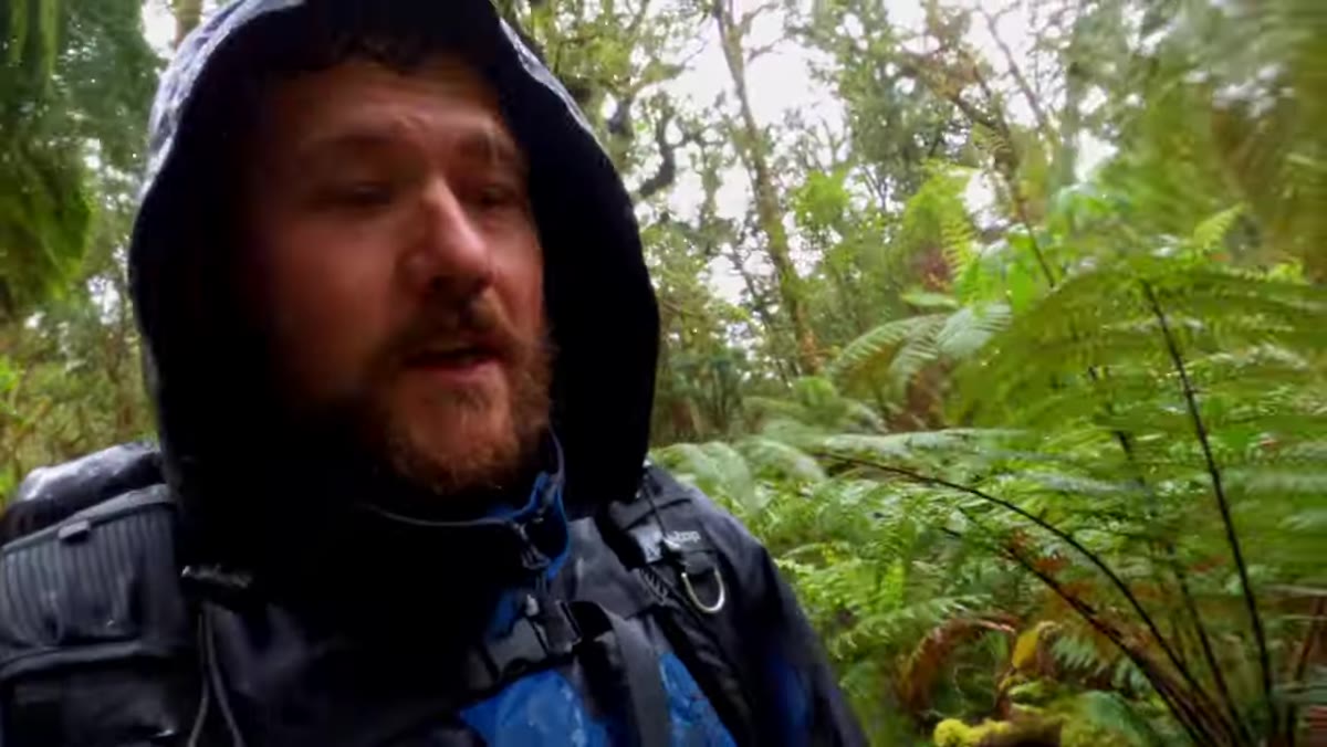 Photographer heading into rainforest on a wet overcast day
