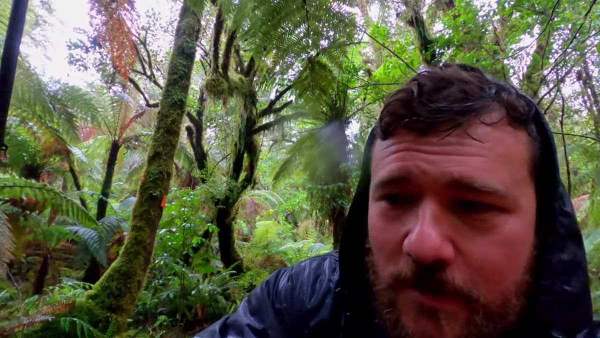 Rain hitting foreground ferns, planning a faster exposure for those elements