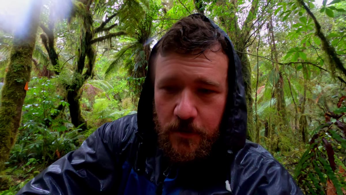 Discussing focus stacking for sharp foreground ferns and background cascade
