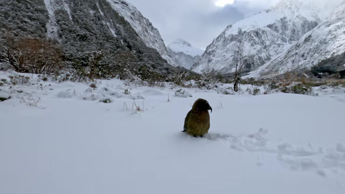Patino repositioning to include background light and mountain context