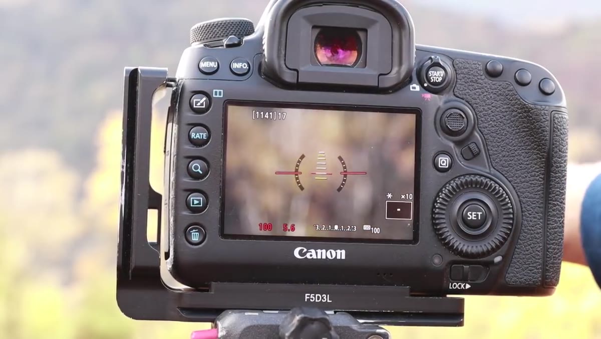Camera settings visible, aperture at f/5.6 on isolated tree
