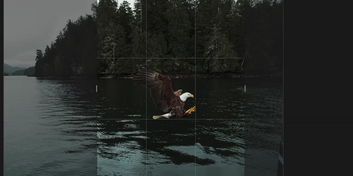 Crop tool applied with 4x5 ratio selected