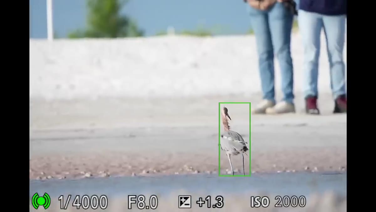 Camera display showing F8, 1/4000s, ISO 2500