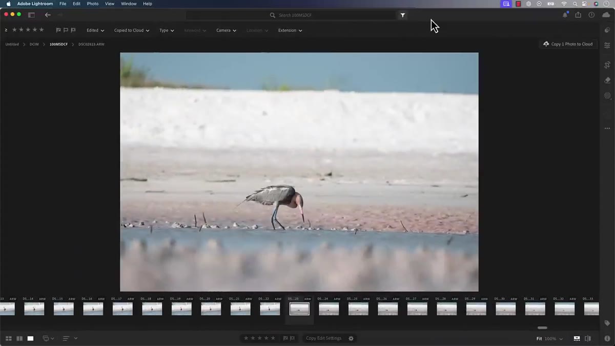 Photo grid visible in Lightroom with keeper image highlighted