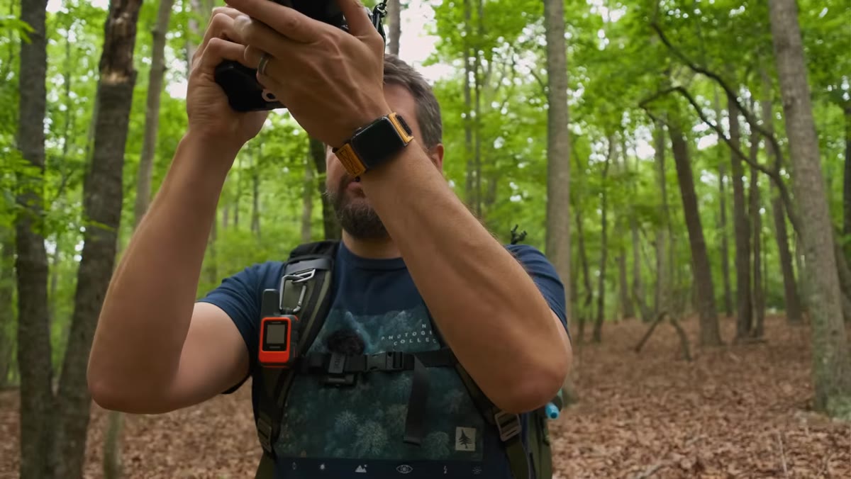 Photographer panning camera downward through tree canopy