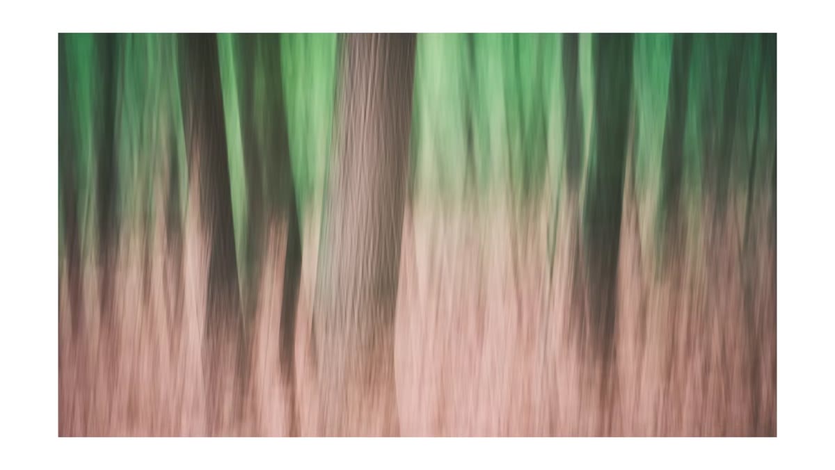 Reviewing ICM image on camera LCD screen