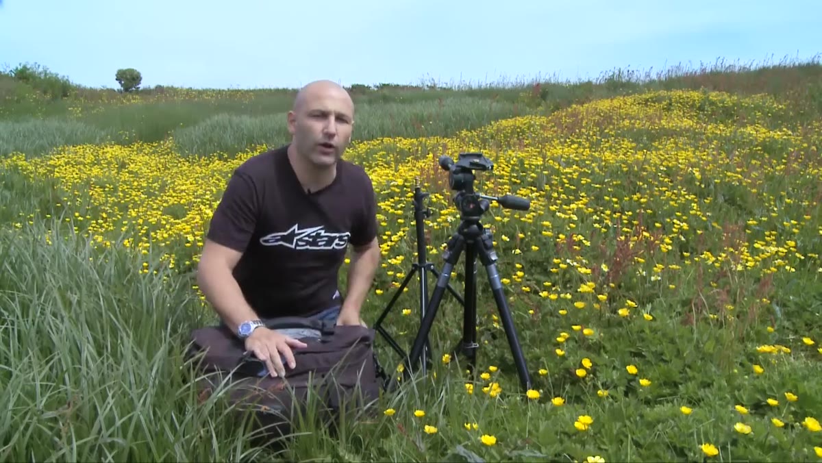Camera positioned low near flowers waiting for insects