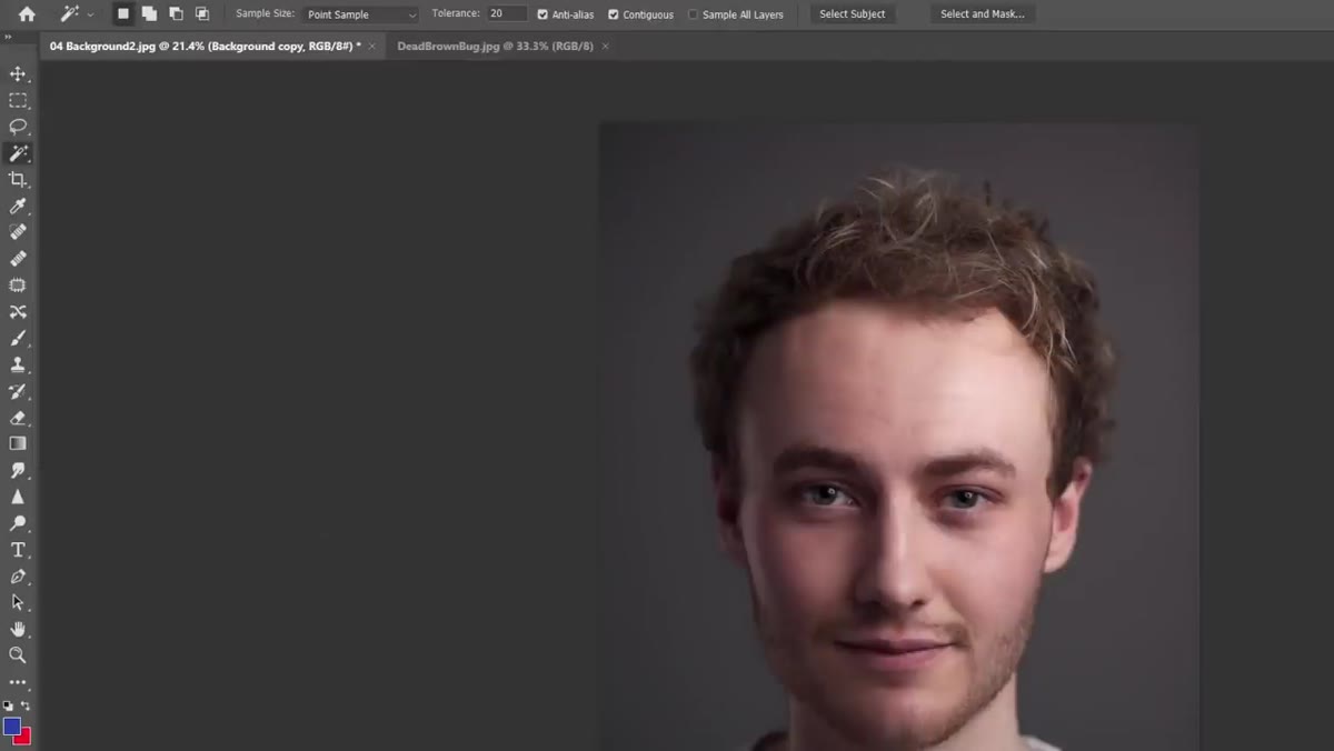 Magic Wand tool active with Select Subject button highlighted