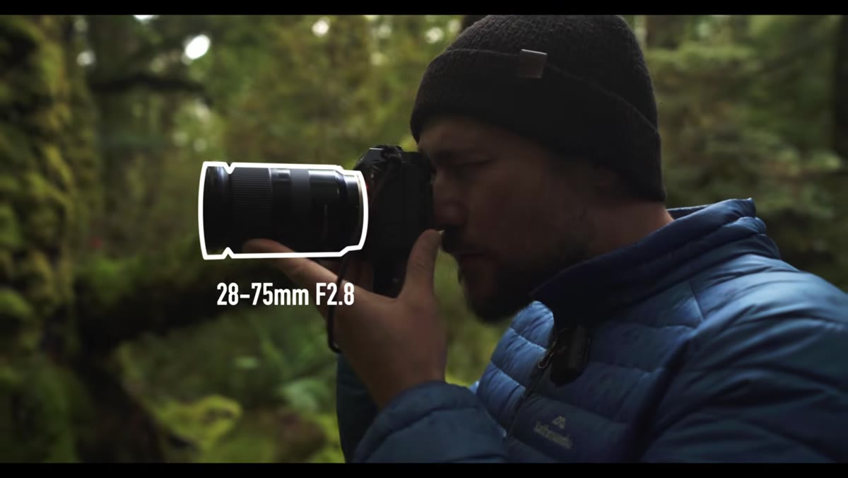Photographer selecting mid-range lens beside dense beech trees