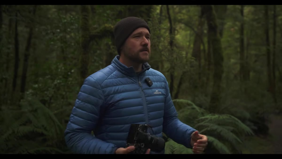 Photographer shifting position to separate foreground and background trees