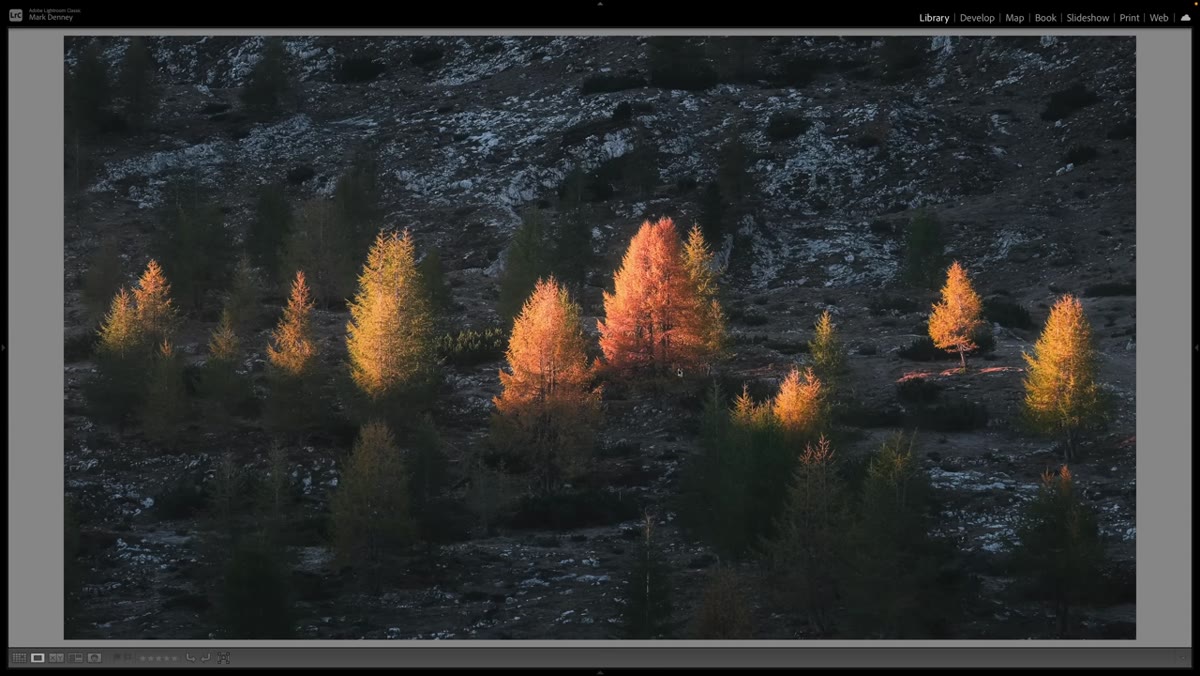 Landscape image built around repeating visual patterns