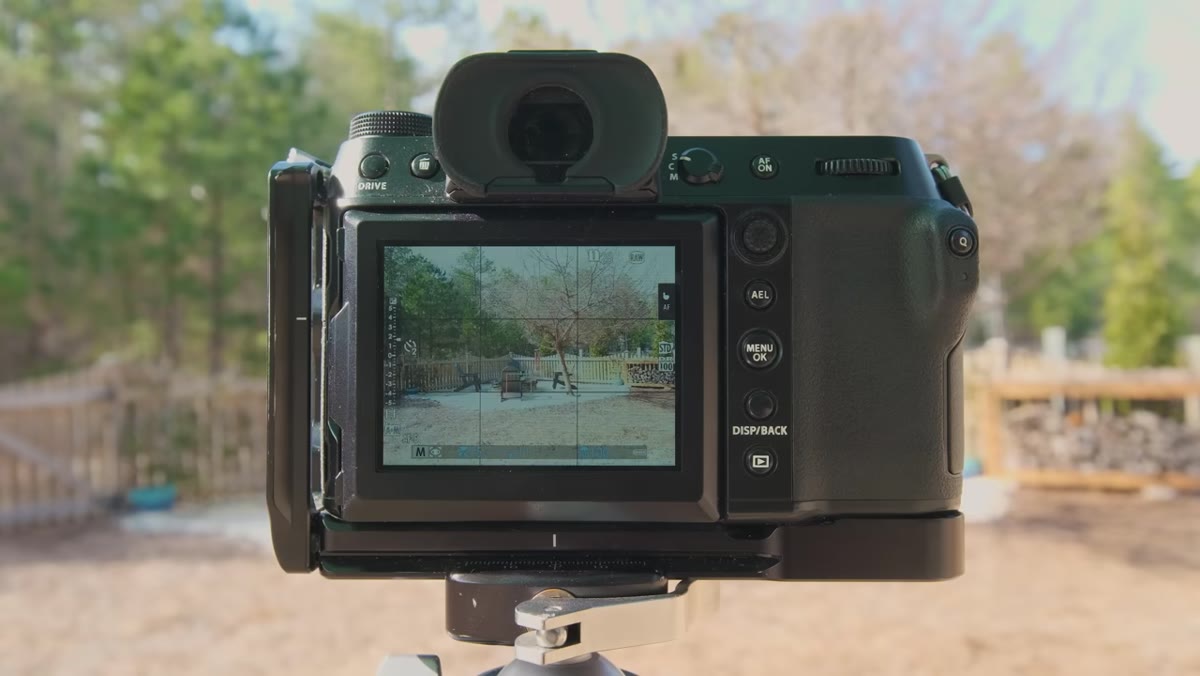 Backyard scene framed in camera viewfinder, ordinary outdoor lighting