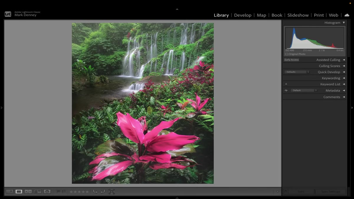 Pink plant in foreground with waterfall behind, photographer stepping forward