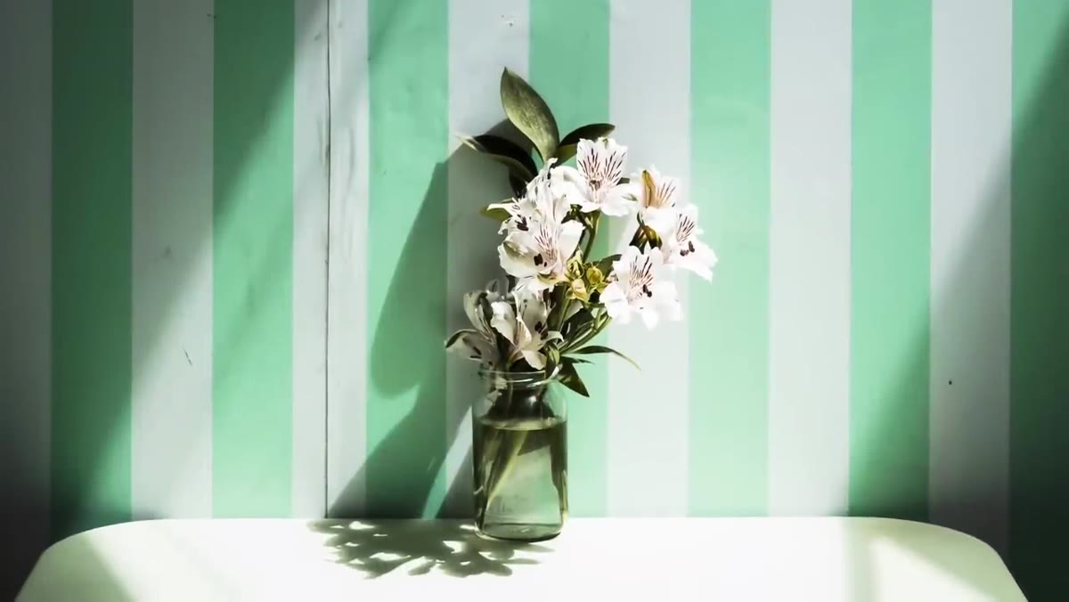 Tucker&rsquo;s Soho café image showing shaft of sunlight on flowers and striped backdrop