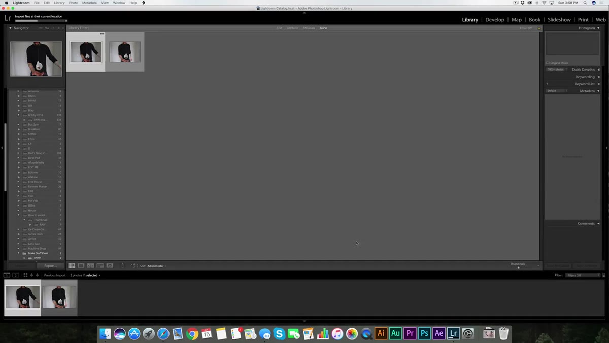 Lightroom grid view showing multiple hanging-object frames