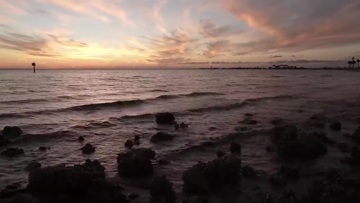 Camera repositioned with horizon low, foreground filling two-thirds of frame