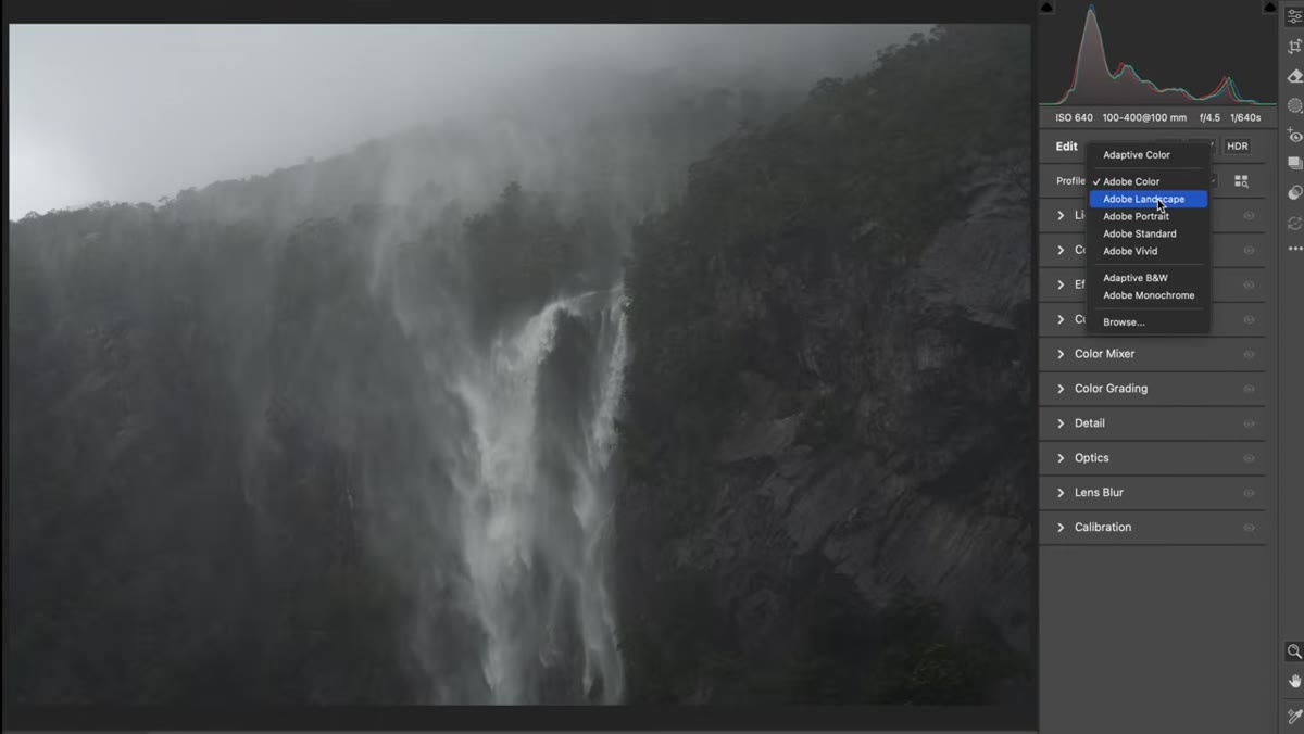Applying the Landscape camera profile in Camera Raw