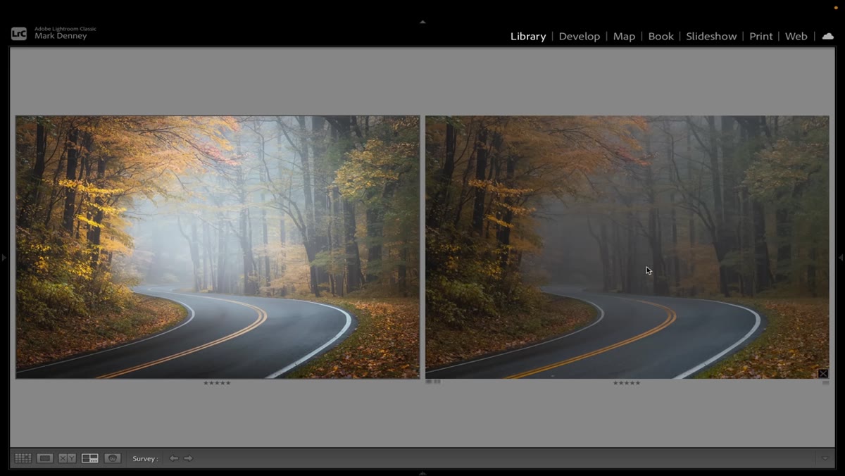 Side-by-side comparison of raw file and completed edited image