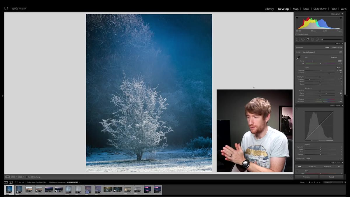 Raw file of backlit frost tree with flat, neutral tones